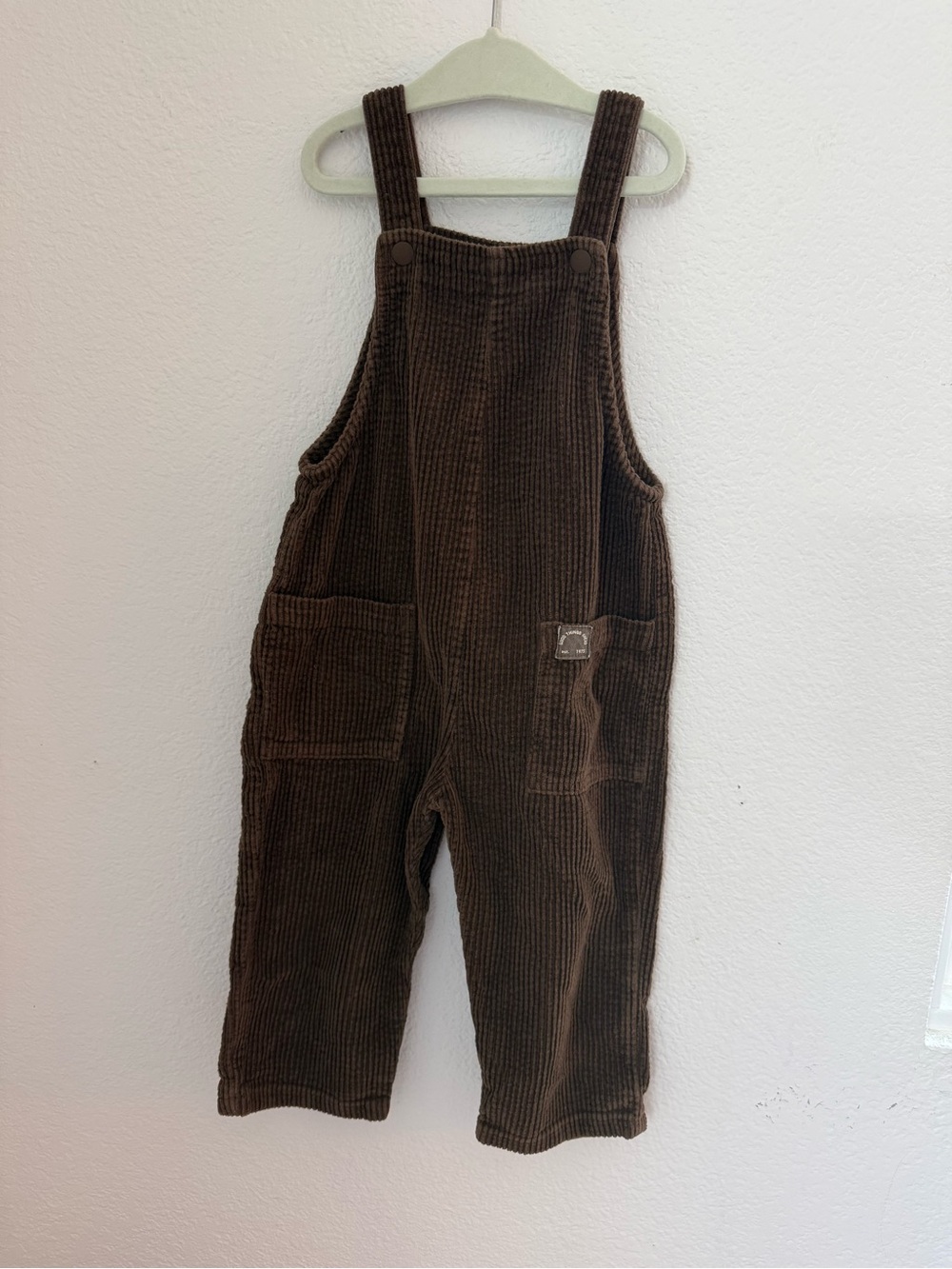 Zara Brown Corduroy Overalls